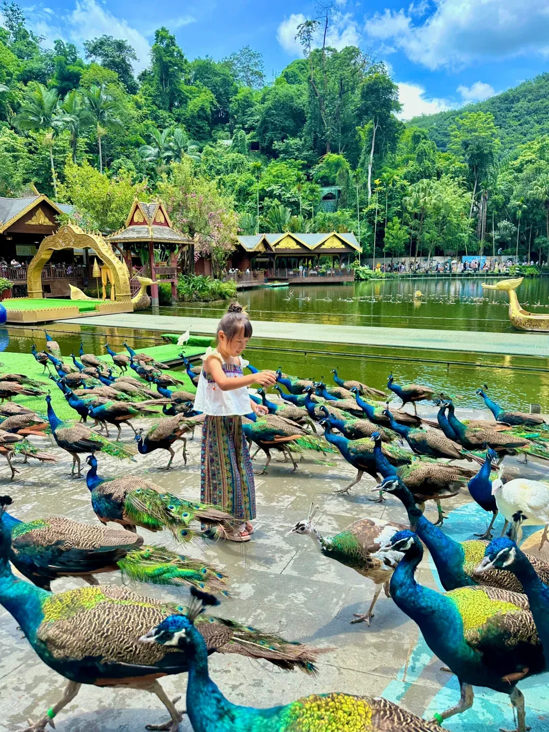 d053710a794832a68193a147df8711ab-sz_4259511