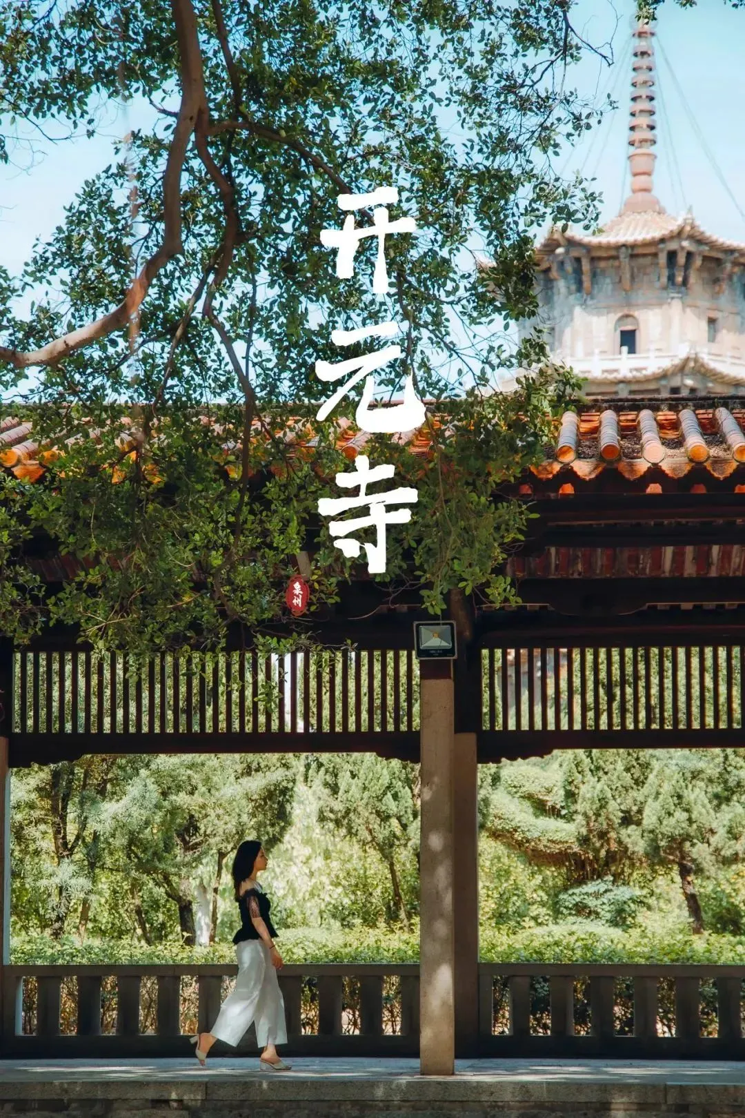 d053c69b4da0f75c72beb2840db45d1b-sz_462659-1