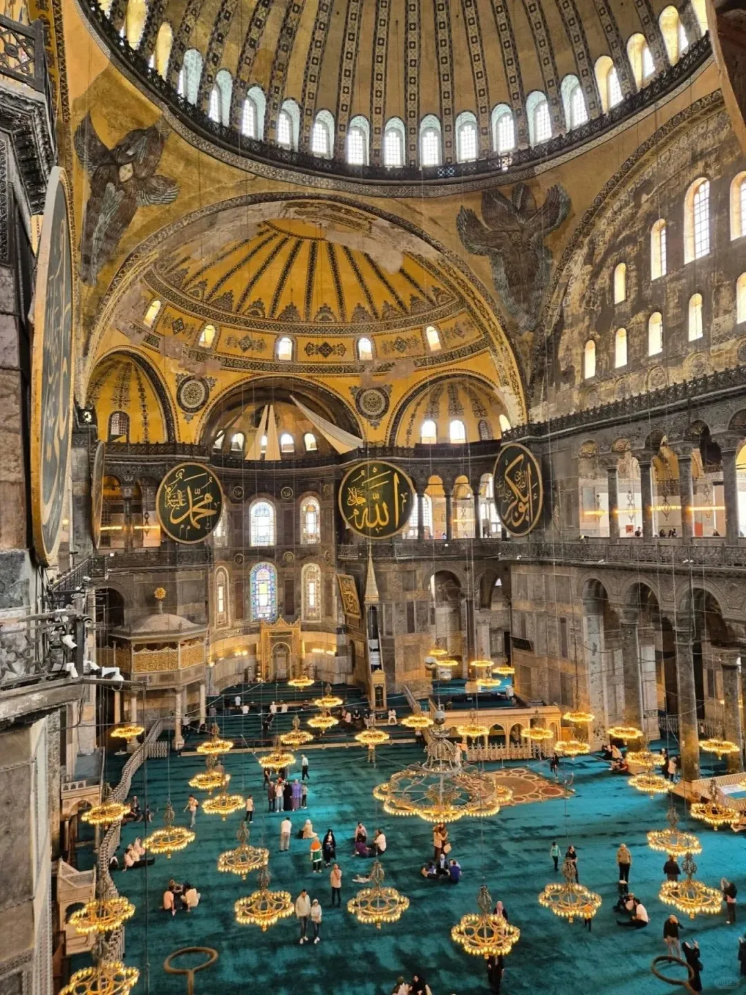 d06d13ac10b180ebebef49a85999e70a-sz_569913-1