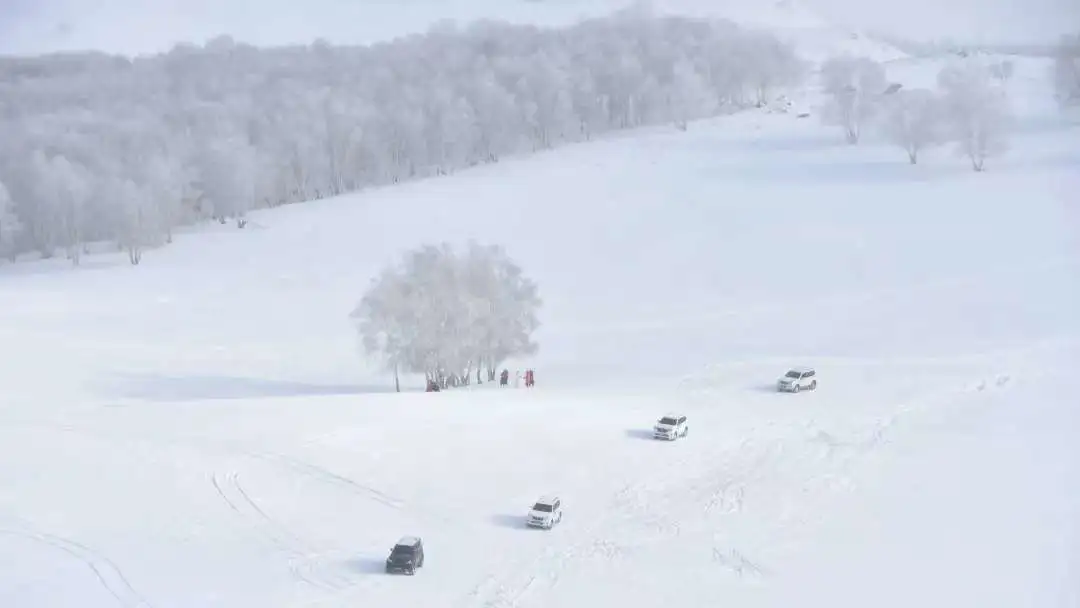 d077c5a57f99b4b93608e15726d6cd60-sz_24897