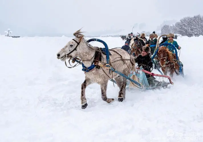 d084541bddaa5bc55610c0358732c1d9-sz_42263