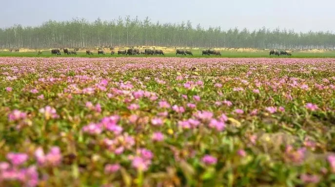 d0a941552e15848bdb4c28960be6b166-sz_63560