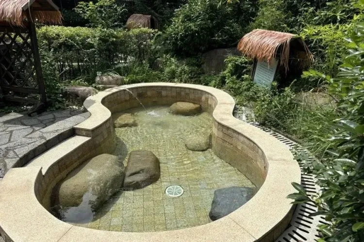 d0dc25c8471d87ced6dbf734522df3e8-sz_184636