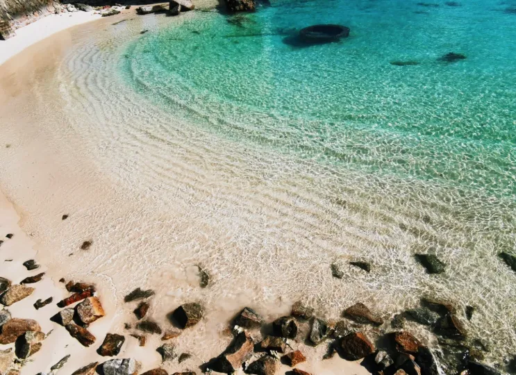 d11e477d2b2013f91f4a6133f741ca99-sz_920123