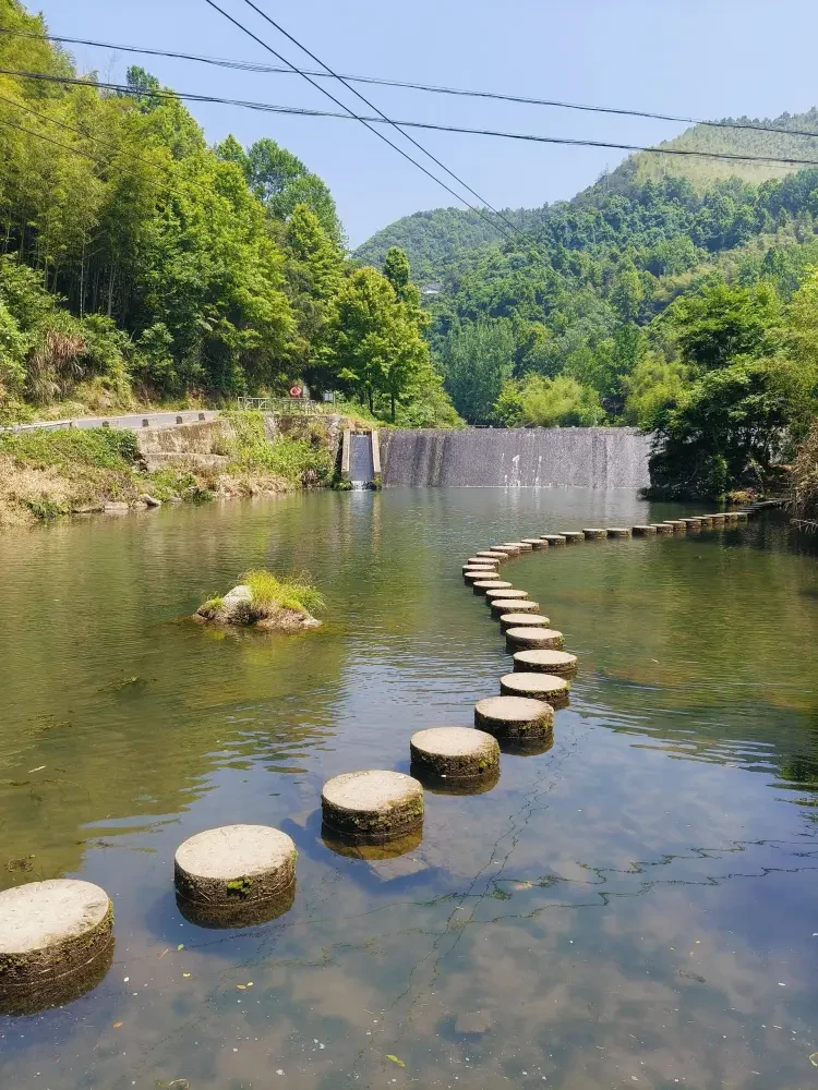 d12c45c008776389cc0deb009ba89ddc-sz_1125746