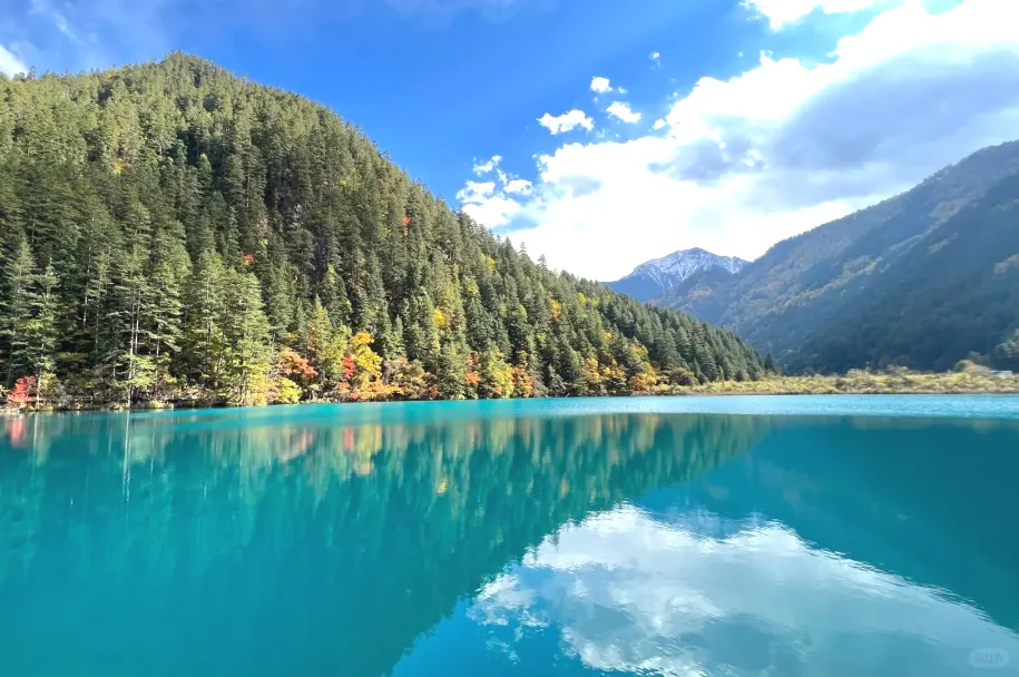 d140fcfbced18315b25239743a012623-sz_561586 d140fcfbced18315b25239743a012623-sz_561586