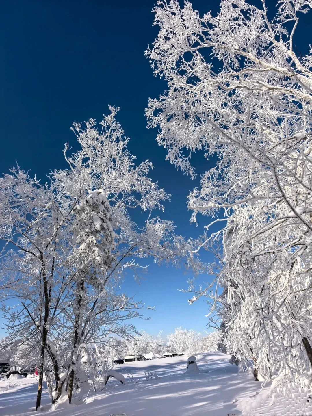 d1720b962e53e62d627f2ad07f5629db-sz_622027