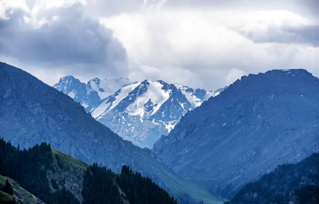 d1b8d9a137cbdf0cfc223213292ef0f4-sz_1579229