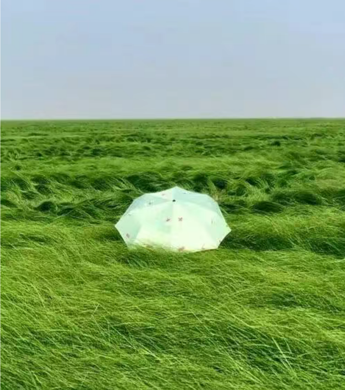 d20d5f46d69fe01f3d5cd7e92fee79ce