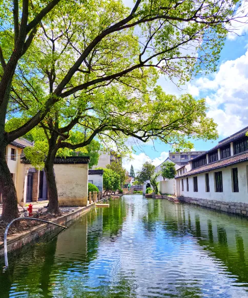 d21b651af80a09ee48d88a5b840ea89c-sz_772434