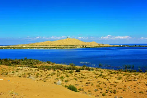 d2230c21fd6be5d663cd39aff98b069d-sz_34995