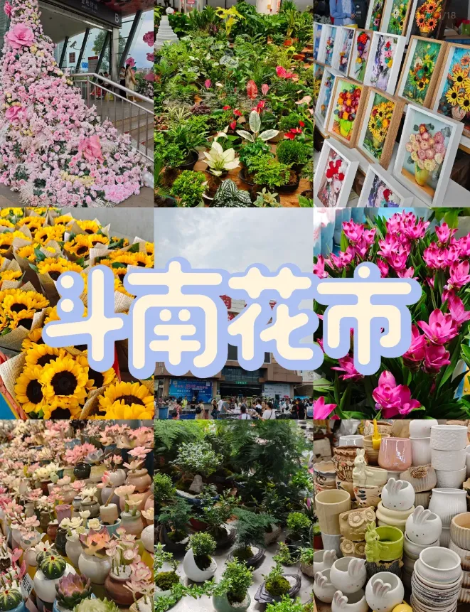 d225da2b3c0887fd3a90d959848e2b8c-sz_1628597