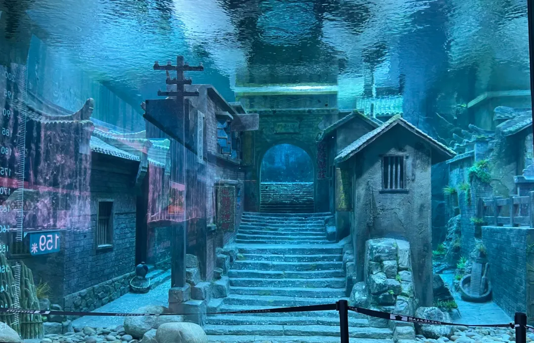 d23c19badff481568c10d94fdfbfde06-sz_2942157