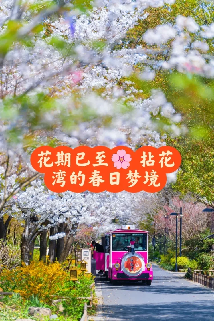 d23f0e8f6e553895fe9fd13fa4c269b6-sz_4293757