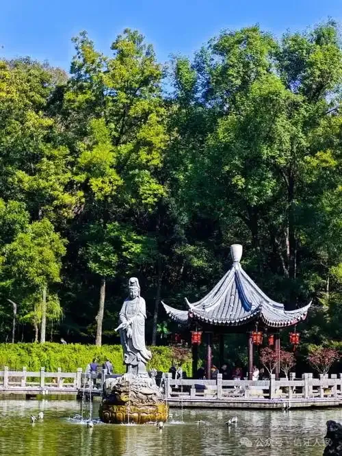 d257b83bf5e2983282c38683f3341fcb-sz_208034