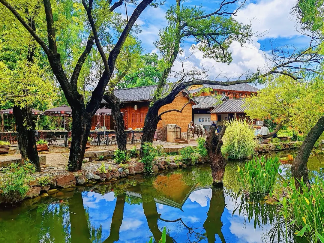 d26dcba6afcf059c70c70d0c9f5be627-sz_3369140