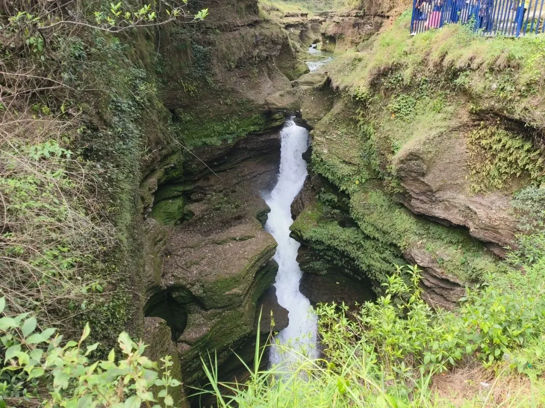 d28306d486a5206479015243e8495165-sz_845528