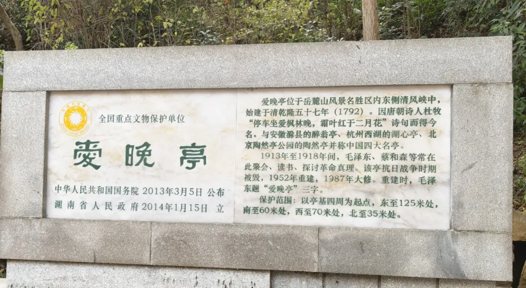 d290dcb83a0f26222ac0b30ef08d832a-sz_3158445