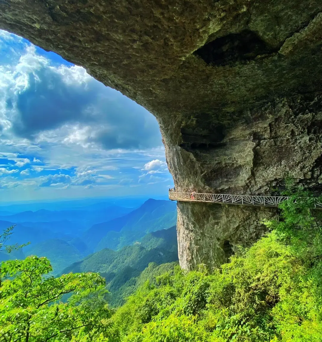 d294f00173f626ac616e681e89d8da70-sz_564989 d294f00173f626ac616e681e89d8da70-sz_564989