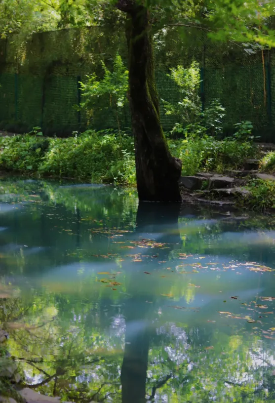 d29818a345c9b0b577bba24b1ad6b740-sz_877639