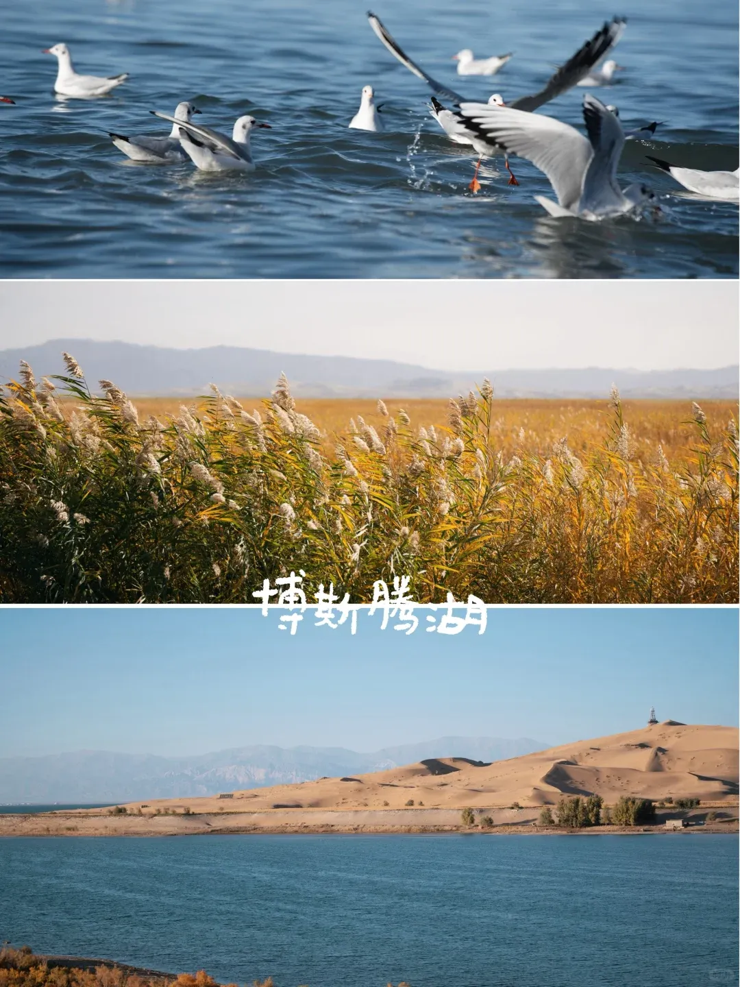 d29ab4013870de08bb986cb247c45e42-sz_2459332 d29ab4013870de08bb986cb247c45e42-sz_2459332