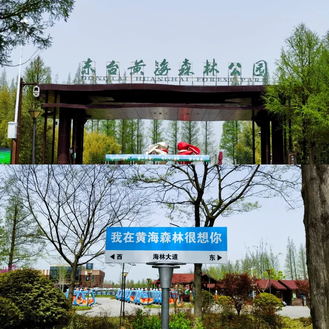 d2a81d0824e6bbeb3618c51f599f39e9-sz_2365381