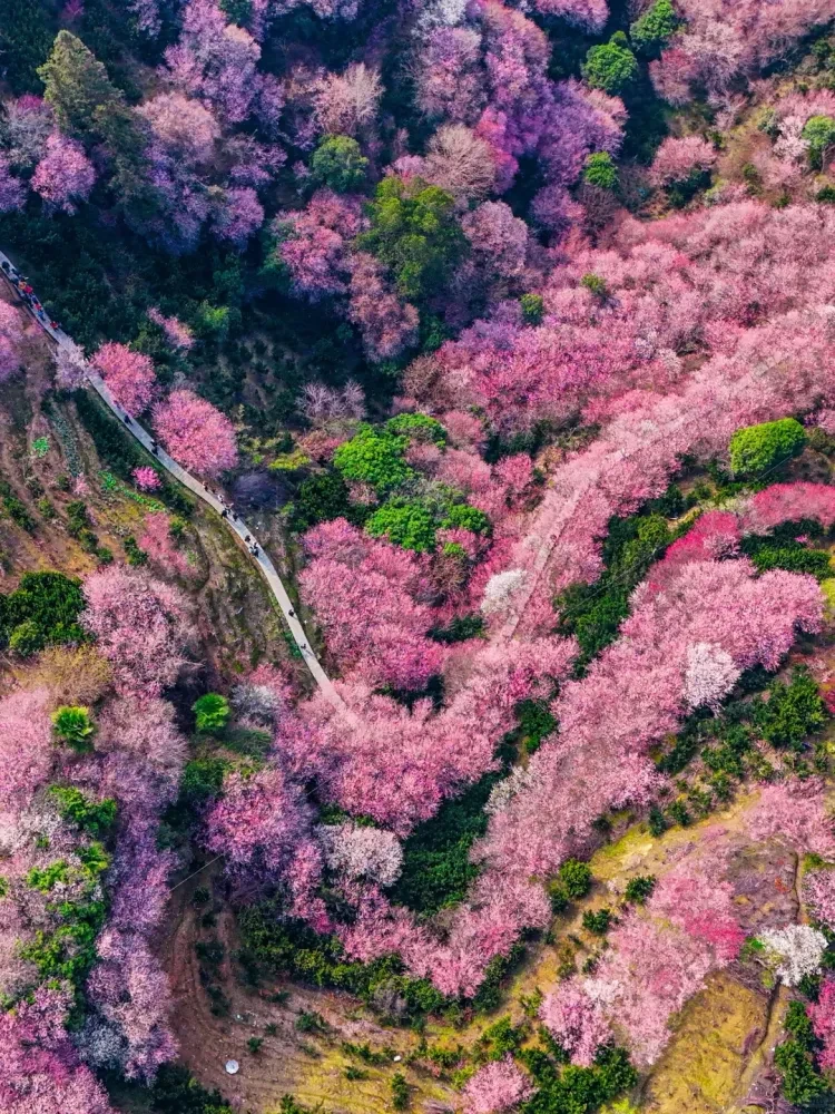 d2d180cc1be060d4e71181ee70c1286a-sz_4516243