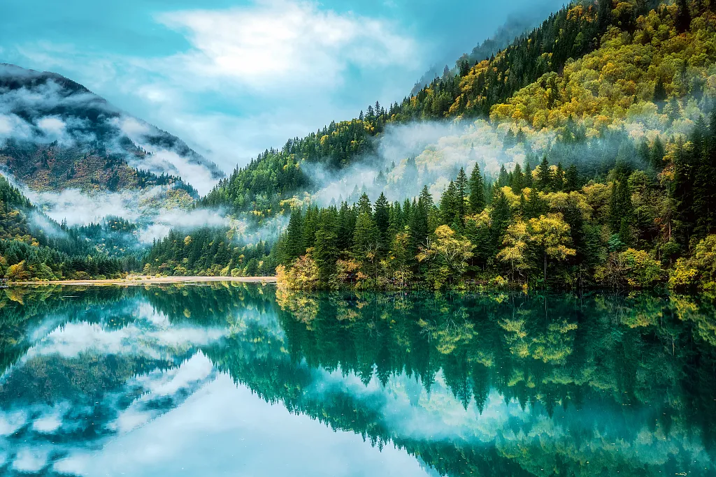 d3184eed0ff019d3167b663486dc5b89-sz_1050617 d3184eed0ff019d3167b663486dc5b89-sz_1050617