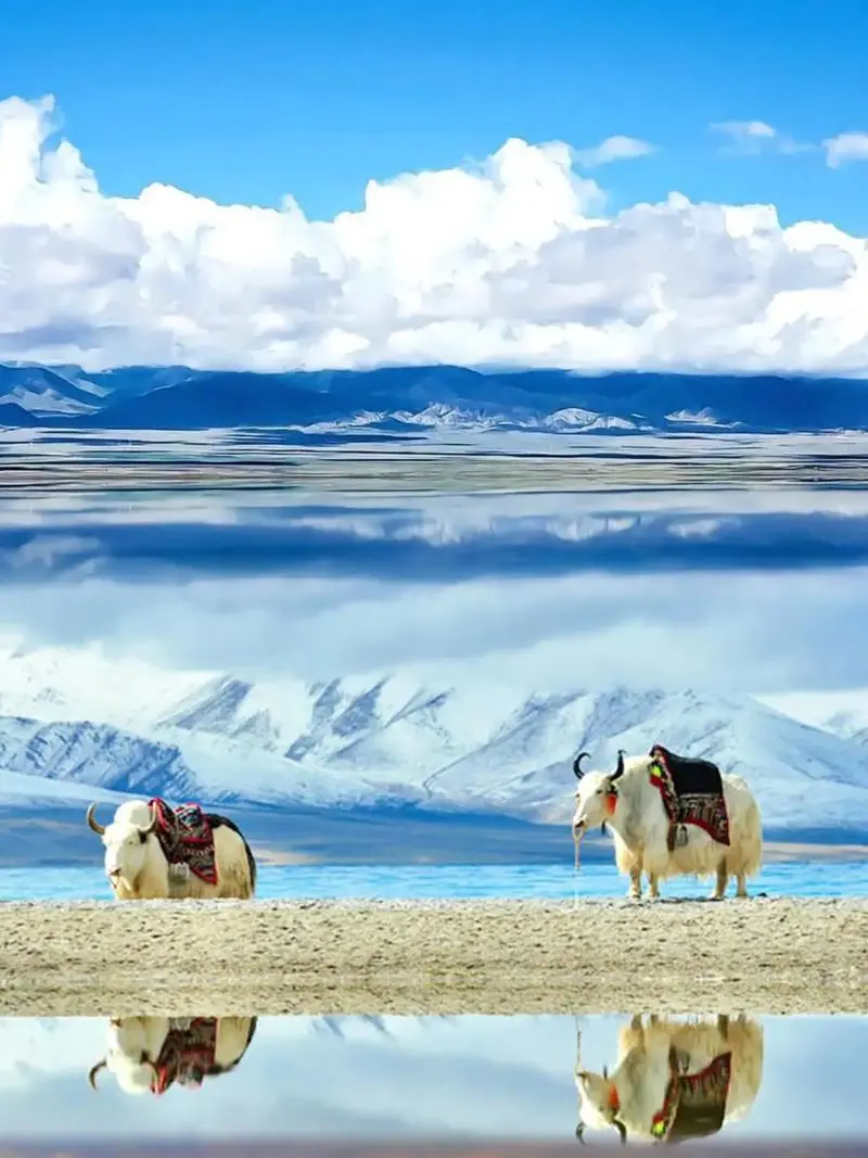 d333b095a0ee66e6a20725408aeb0cef-sz_92963