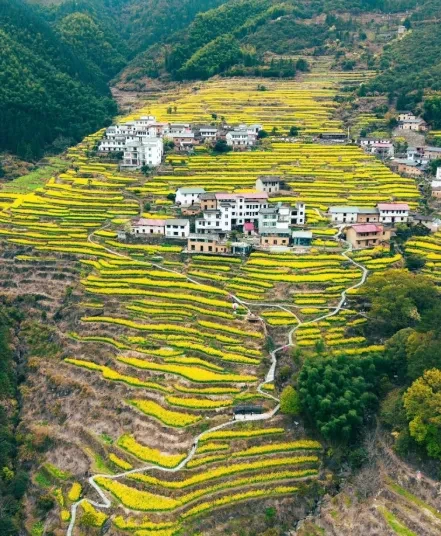 d36b142c56b7e53eadc5ea1e42209197-sz_681637