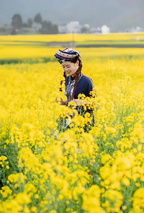 d3a881b7ba0dac63cb8442e0911f8b8c-sz_844583