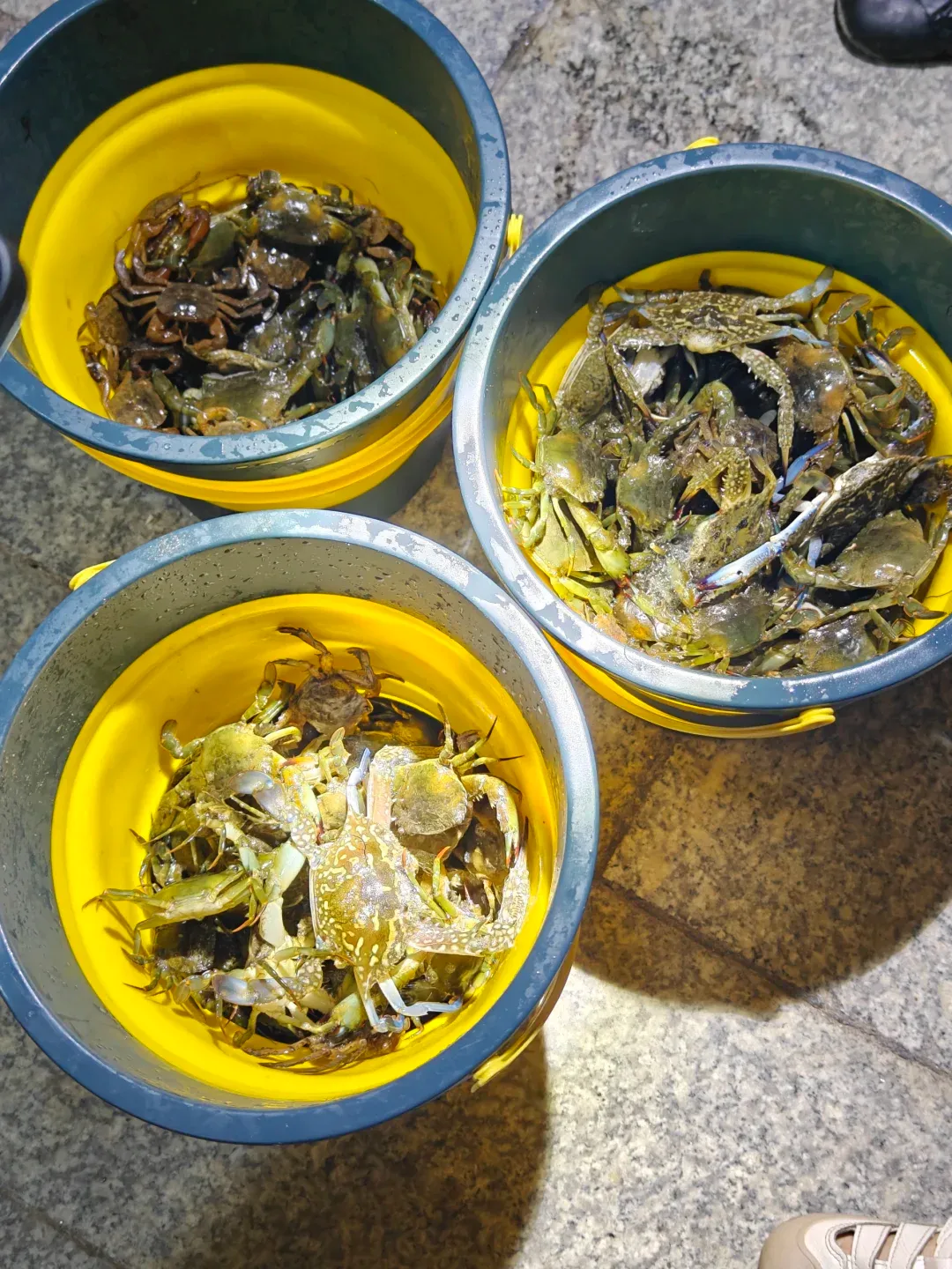 d3c8b3f238da02b465d5693a97f20f51-sz_2404504