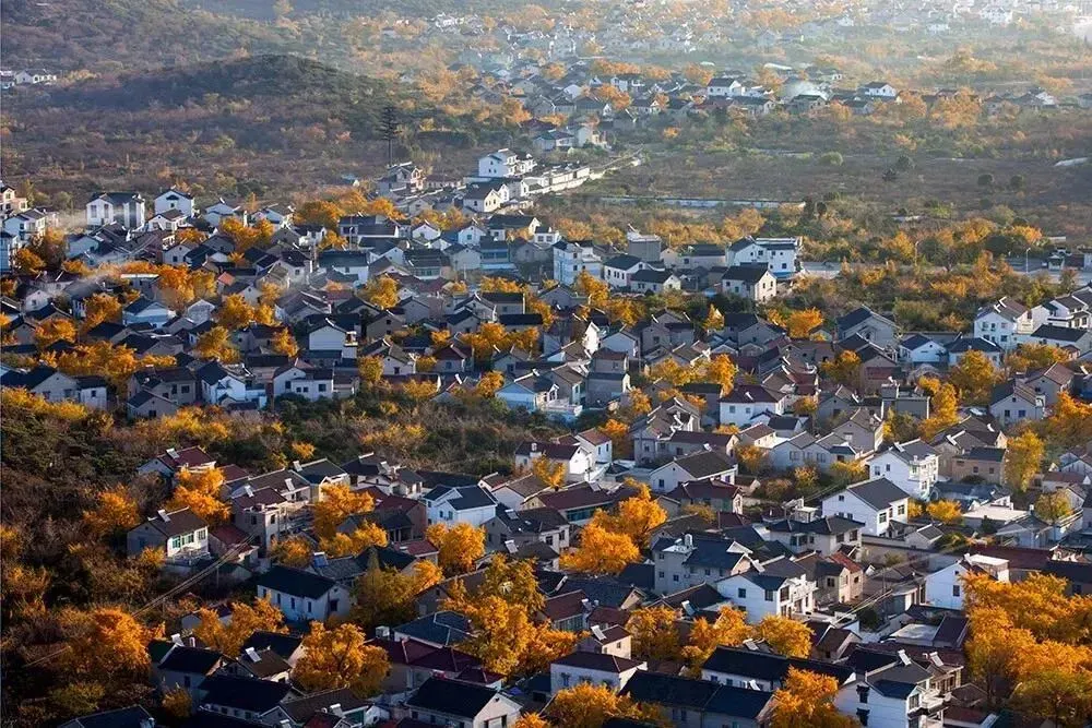 d3dd707151eeda1dd8df13e9230fba77-sz_1437251