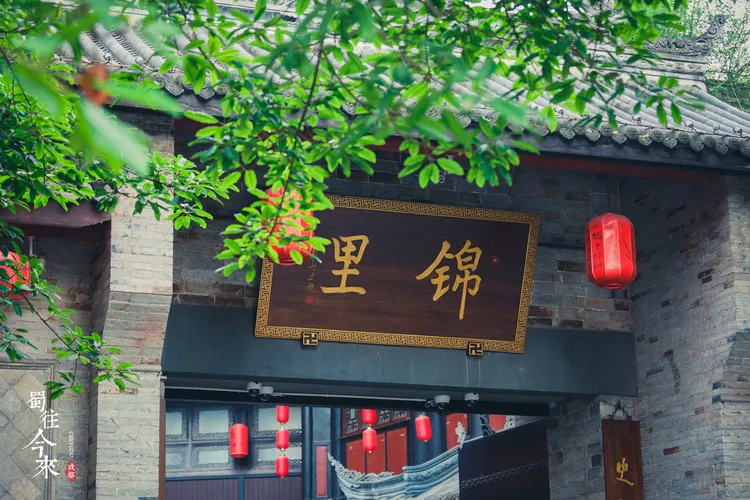 d428d309a1a71f579bb6a793c4ff8300-sz_192870