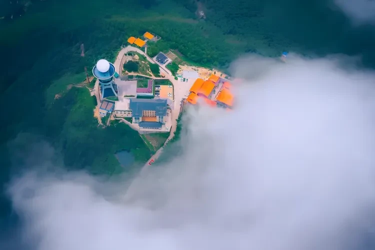 d42c87415008534208abefcbf381d68b-sz_915511