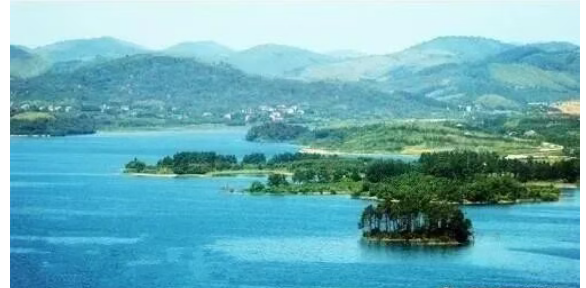 d462c3c1db106d67162d78b6cfaae572