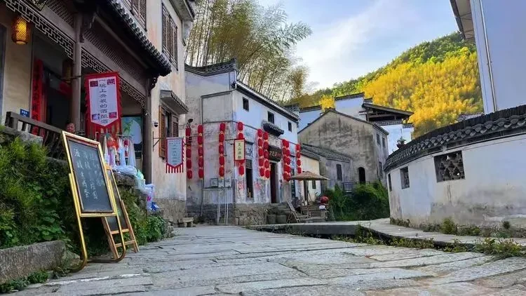 d47eae870e50c564a9c5cbc6a3586aac-sz_86452