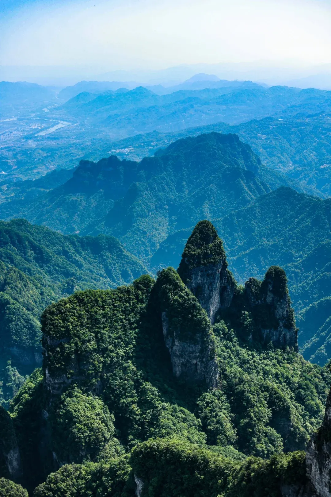 d4a05fa75b9ec4e5065243b5700f5029-sz_3424994