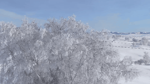 d4b32f24a8e73cd96c4e06c5e78670fc-sz_4454070