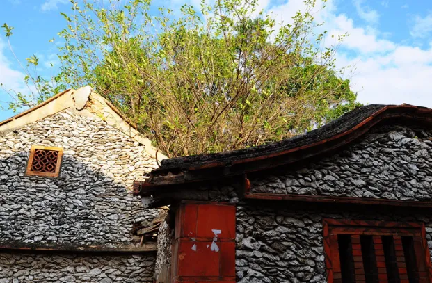 d51293d81c100d4b7fd34c6ced9510d4-sz_747263