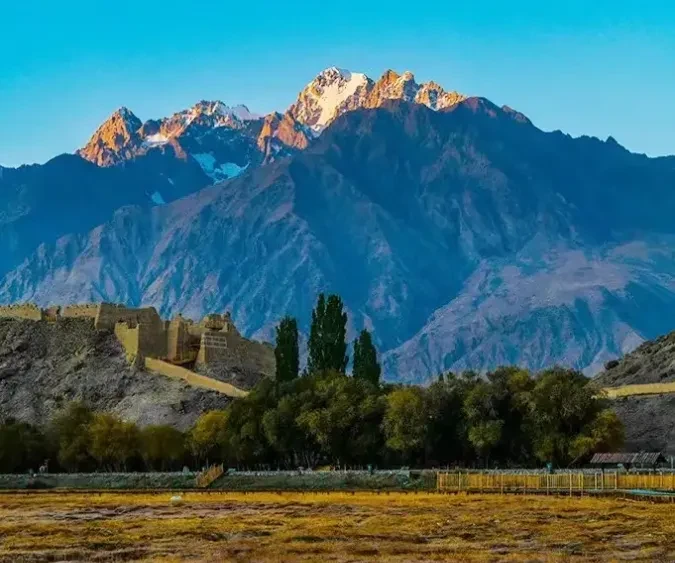 d52658a5204dd1e60709a5fab755a9dc-sz_835488