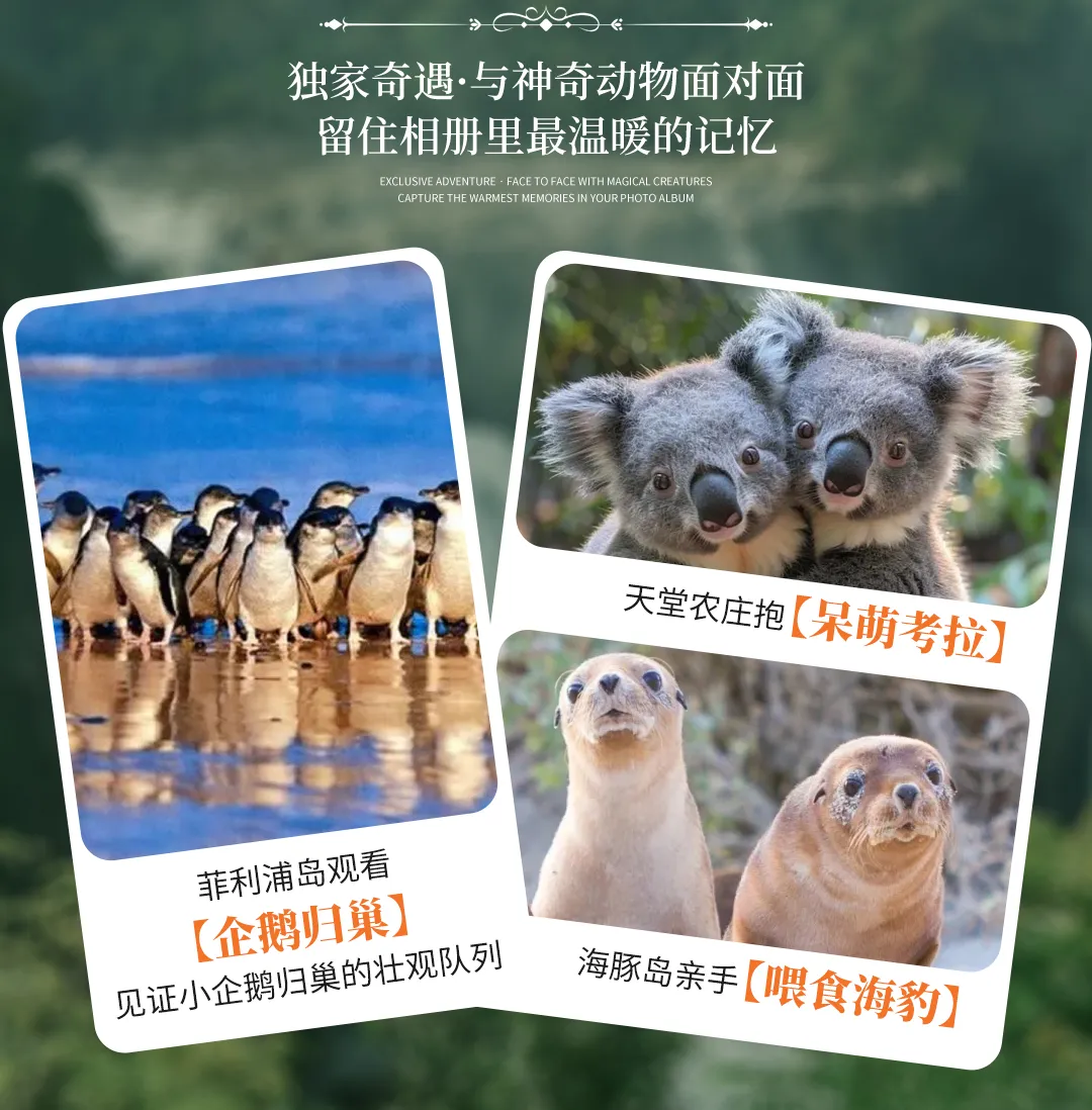 d544bb75a292743221a08348b32139c5-sz_6111952-1