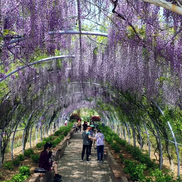 d5661bc980704de1aed64e99bce322c8-sz_1922700