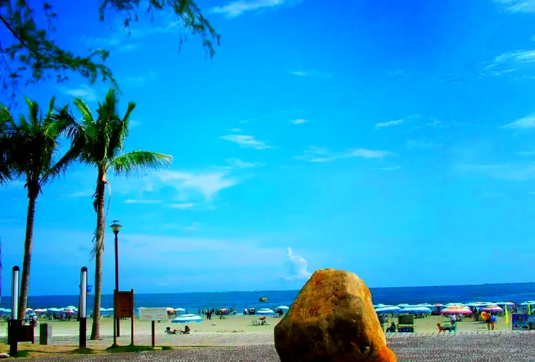 d57fee20f955c70dd09718d02f542a6e-sz_1047659