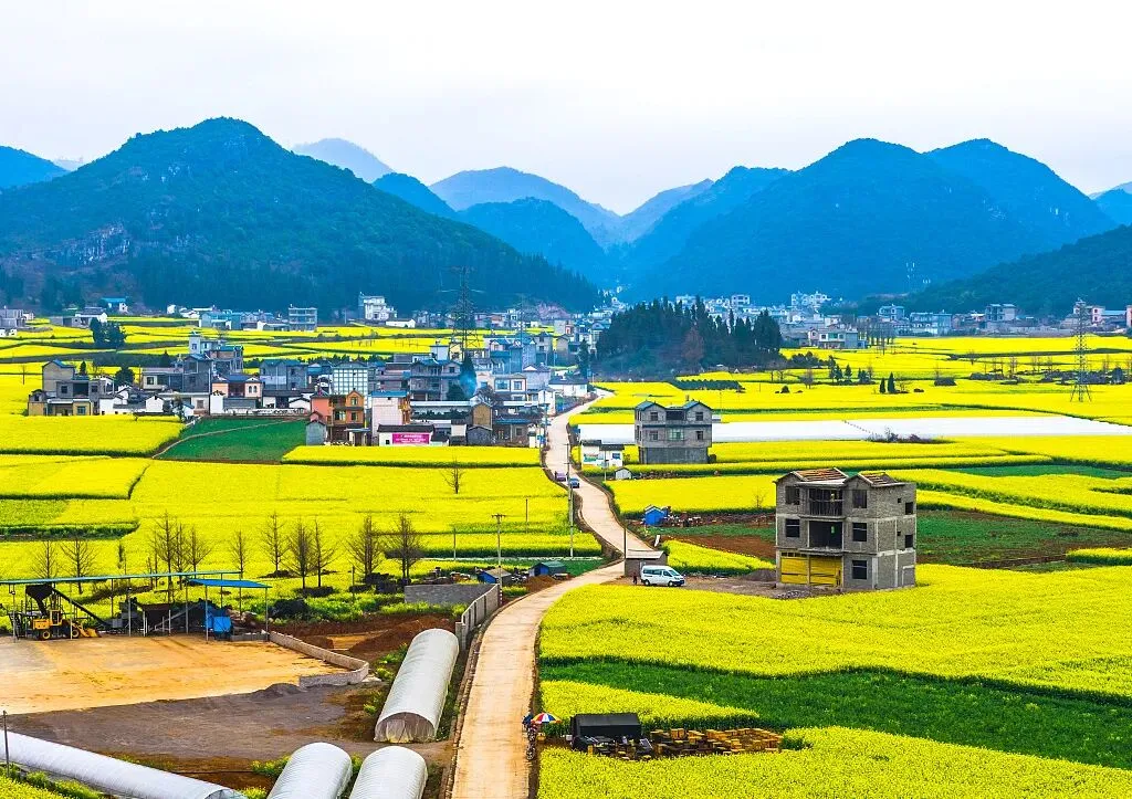 d5b01db313f3d82e634e7d40b5a0ad1d-sz_197784-2