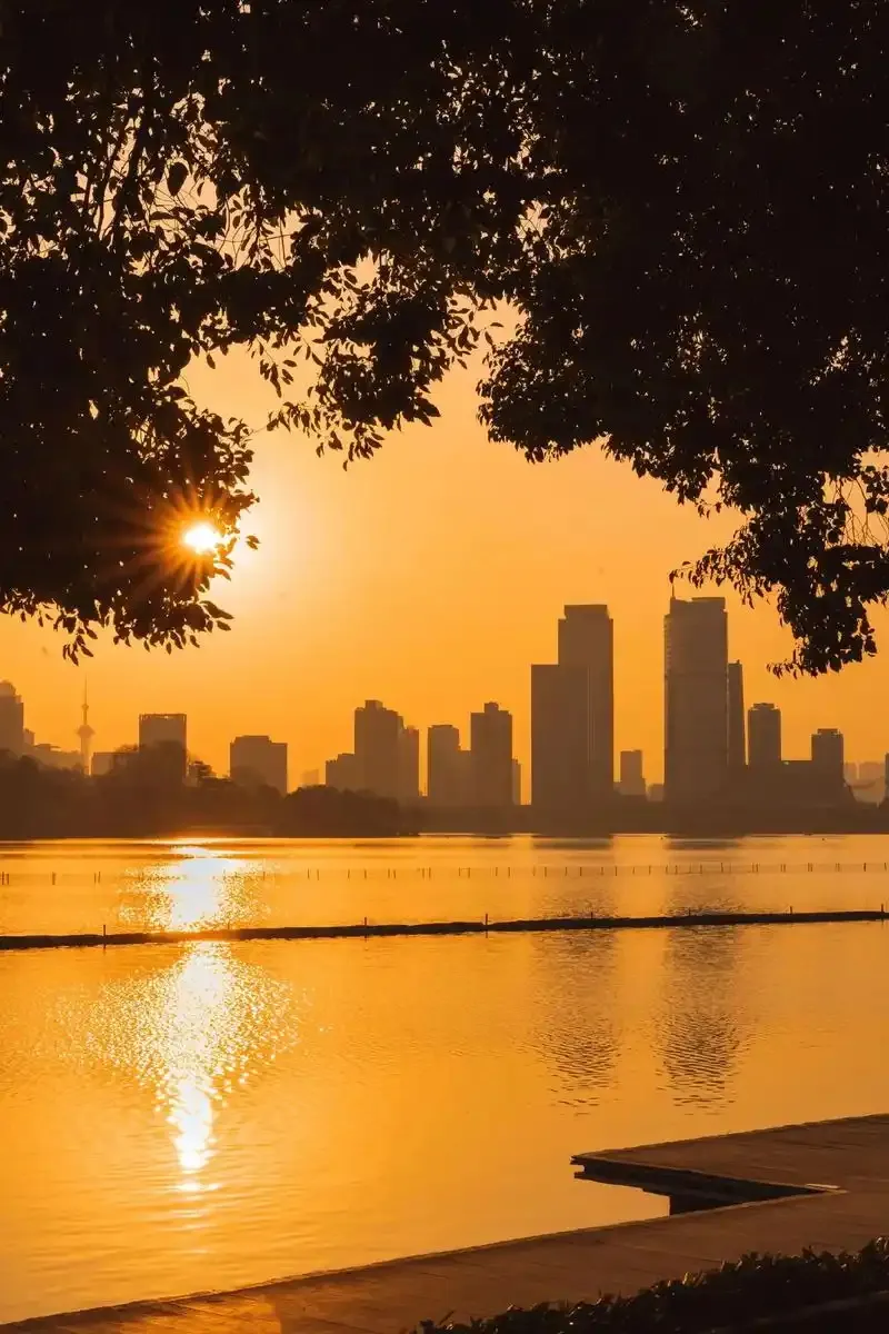 d5cf5833bade320bf342cd71fafa2393-sz_300454