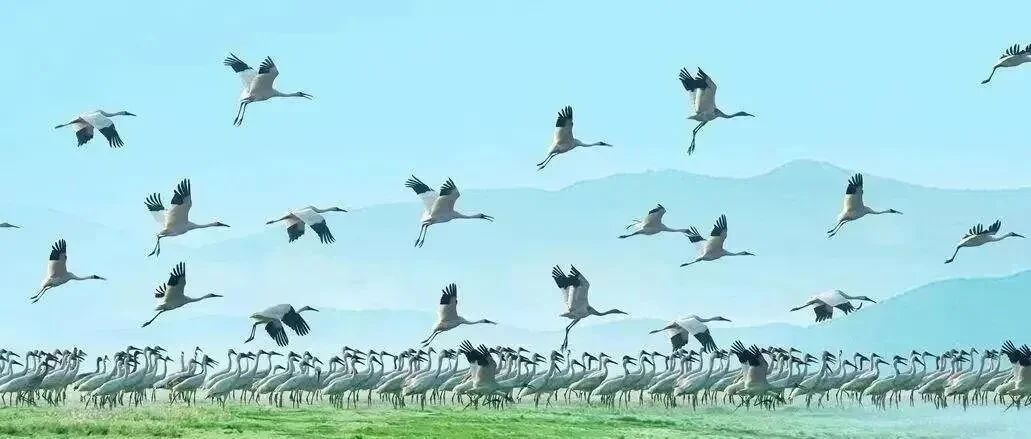 d62ebcbab81f2b29fc570ce8e52d96c8-sz_82631