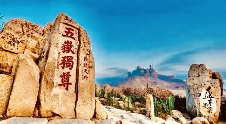 d637529994ad571339c0a7ac5981260c-sz_70080