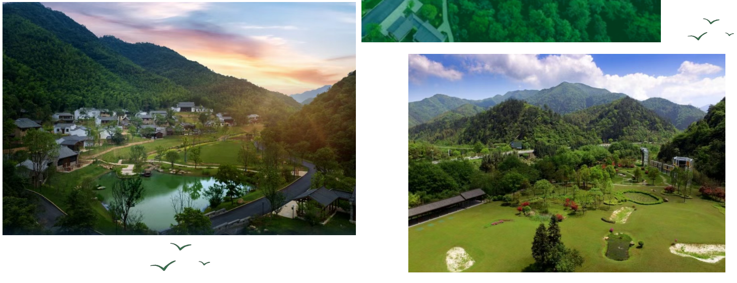 d69fcc447ebb30b14b2453ffc316aed1