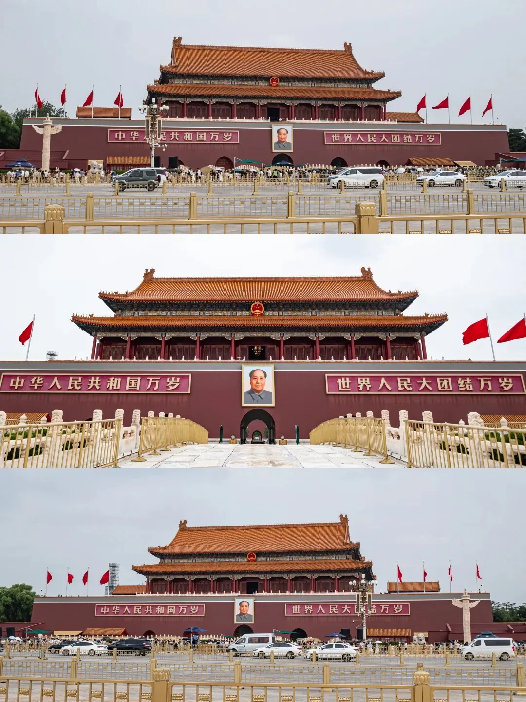 d6c4555f330fecb4a80cb1f1cd91607a-sz_446855